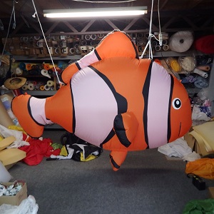 クマノミ