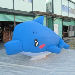 イルカ